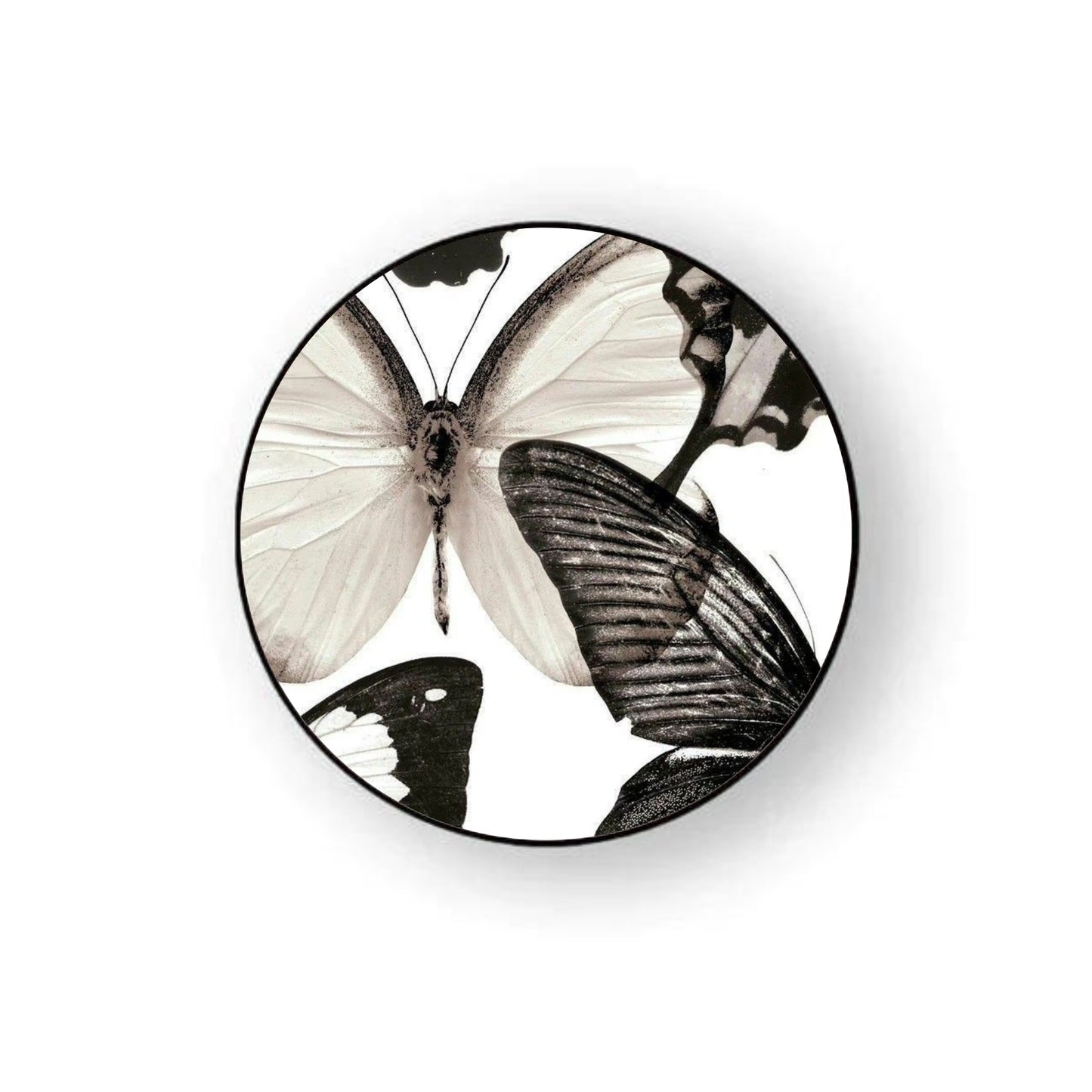 Butterflies Pattern Holder